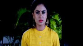Naagini S01E477 12th December 2017 Full Episode