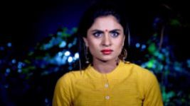 Naagini S01E557 4th April 2018 Full Episode