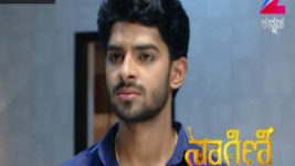 Naagini S01E65 6th May 2016 Full Episode