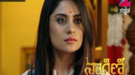 Naagini S01E66 9th May 2016 Full Episode
