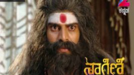 Naagini S01E73 18th May 2016 Full Episode
