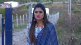 Naagini S01E739 14th December 2018 Full Episode