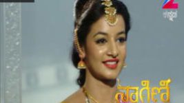 Naagini S01E76 23rd May 2016 Full Episode