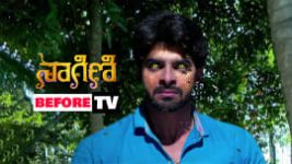 Naagini S01E767 3rd January 2019 Full Episode