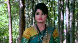 Naagini S01E772 10th January 2019 Full Episode
