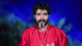 Naagini S01E773 11th January 2019 Full Episode