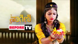 Naagini S01E781 23rd January 2019 Full Episode