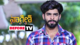 Naagini S01E782 24th January 2019 Full Episode