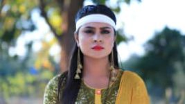 Naagini S01E785 29th January 2019 Full Episode
