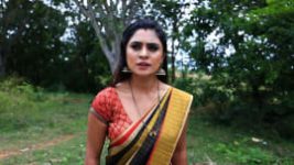 Naagini S01E920 12th August 2019 Full Episode
