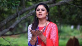 Naagini S01E943 12th September 2019 Full Episode