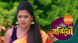 Nandini (Bengali) S01E393 17th December 2020 Full Episode