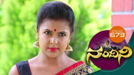 Nandini S01E673 14th June 2019 Full Episode