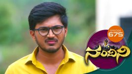 Nandini S01E675 18th June 2019 Full Episode