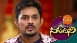 Nandini S01E677 20th June 2019 Full Episode