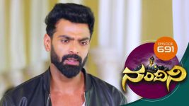 Nandini S01E691 10th July 2019 Full Episode