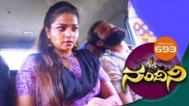 Nandini S01E693 12th July 2019 Full Episode