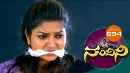 Nandini S01E694 15th July 2019 Full Episode