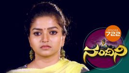 Nandini S01E722 22nd August 2019 Full Episode