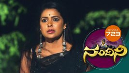 Nandini S01E723 23rd August 2019 Full Episode
