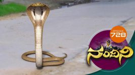 Nandini S01E728 29th August 2019 Full Episode