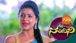 Nandini S01E729 30th August 2019 Full Episode