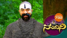 Nandini S01E732 3rd September 2019 Full Episode