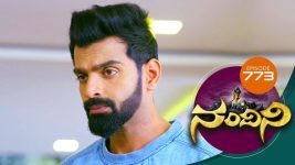 Nandini S01E773 21st October 2019 Full Episode