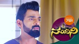 Nandini S01E781 30th October 2019 Full Episode
