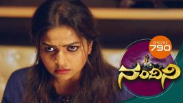 Nandini S01E790 9th November 2019 Full Episode