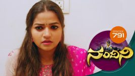 Nandini S01E791 11th November 2019 Full Episode