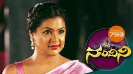 Nandini S01E793 13th November 2019 Full Episode