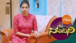 Nandini S01E794 14th November 2019 Full Episode