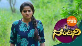 Nandini S01E795 15th November 2019 Full Episode