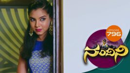 Nandini S01E796 16th November 2019 Full Episode
