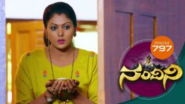 Nandini S01E797 18th November 2019 Full Episode