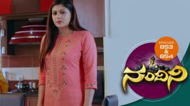 Nandini S01E852 21st January 2020 Full Episode