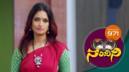 Nandini S01E971 20th July 2020 Full Episode