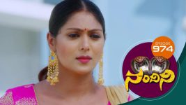 Nandini S01E974 27th July 2020 Full Episode