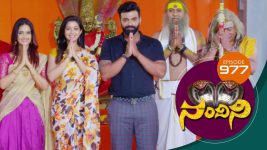 Nandini S01E977 27th July 2020 Full Episode