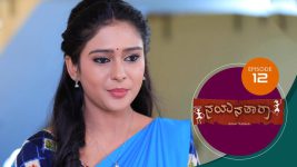 Nayanatara (kannada) S01 E12 20th February 2021