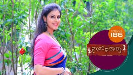 Nayanatara (kannada) S01 E186 21st September 2021