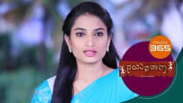 Nayanatara (kannada) S01 E365 21st April 2022