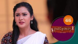 Nayanatara (kannada) S01 E65 24th April 2021
