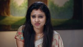 Neeli S02E255 Rekha Reveals it All Full Episode