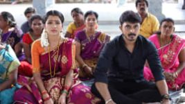 Niram Maratha Pookal S01E587 13th February 2020 Full Episode