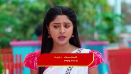 Nuvvu Nenu Prema S01 E192 Padmavathi Makes an Attempt