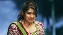 Pagal Nilavu S05E06 Azhagar Throws Sakthi Jr. Out Full Episode