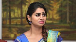 Pagal Nilavu S06E431 Arjun Pleads with Sneha Full Episode