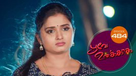 Poove Unakkaga S01 E484 23rd March 2022